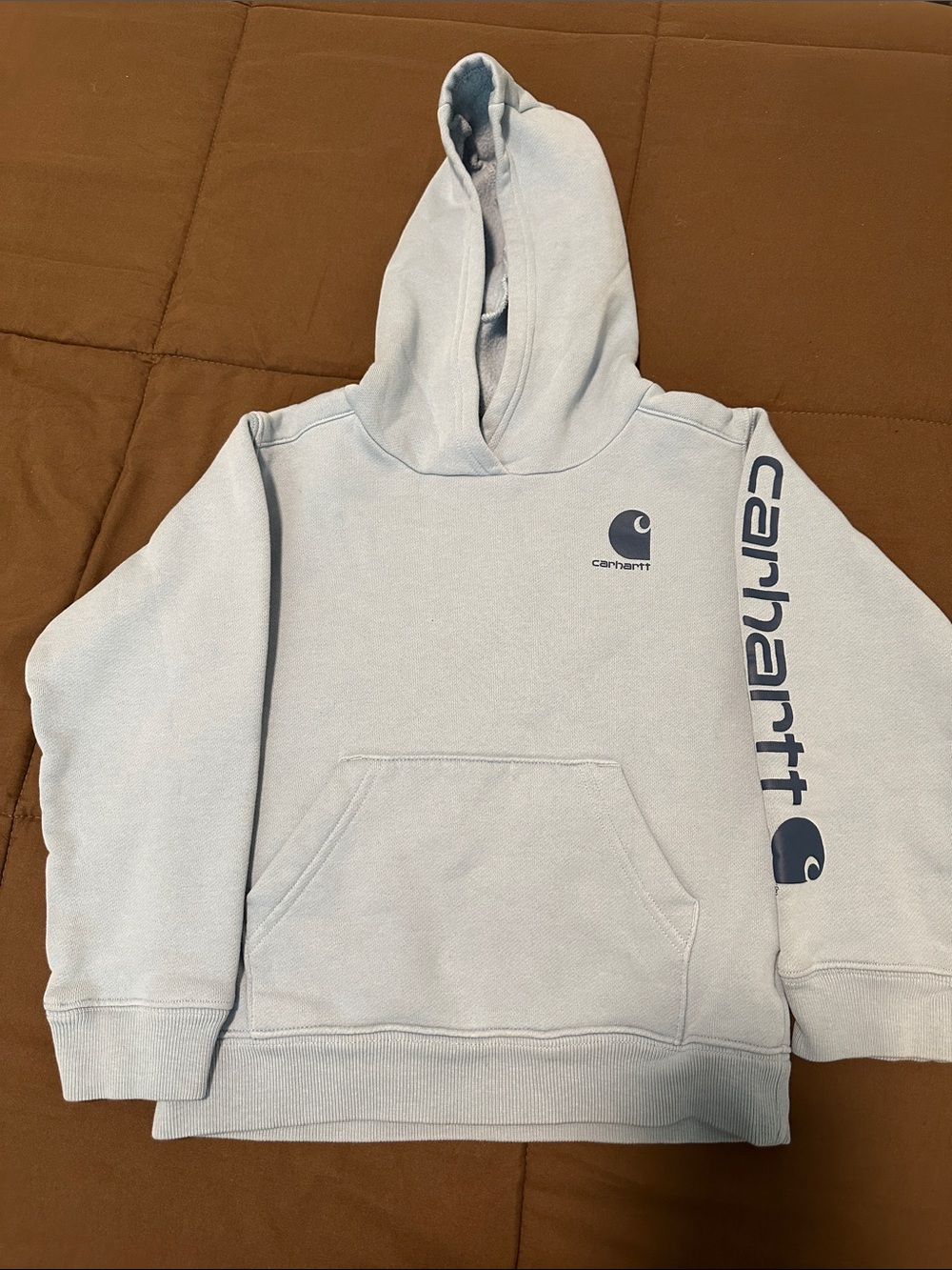 Carhartt Pale Blue Logo Pullover Hoodie